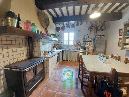 20240417_095712 (Kopie).jpg