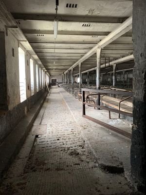 IMG_7525
