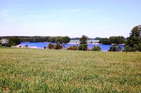 Blick auf den Vielitzsee - Bild 3