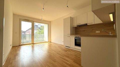 Wiener Neustadt Wohnungen, Wiener Neustadt Wohnung mieten