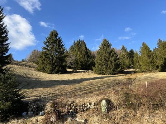Aussicht vom Garten