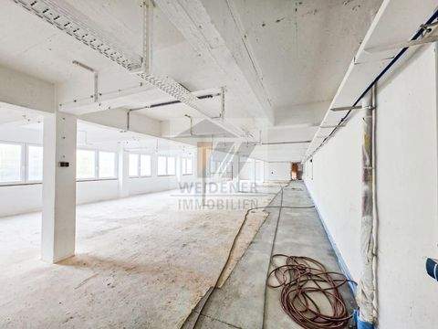 Gera Halle, Gera Hallenfläche