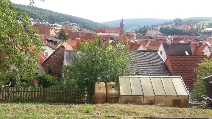 Bild Ausblick Garten .jpg