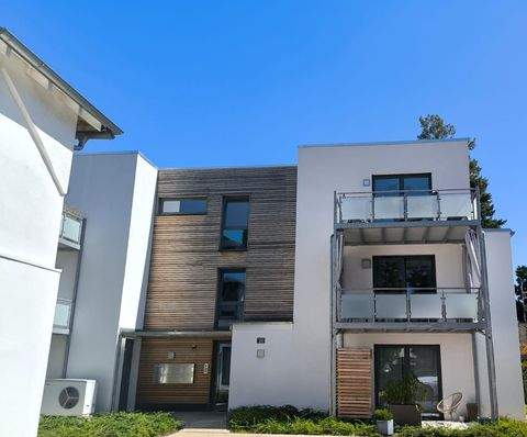 Celle Wohnungen, Celle Wohnung mieten