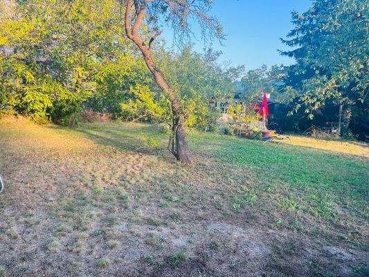 PHOTO-2023-11-15-20-41-23 (3)