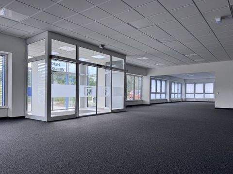 Regensburg Halle, Regensburg Hallenfläche