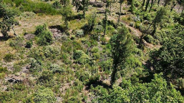 Grundstück 8 ha Panoramablick