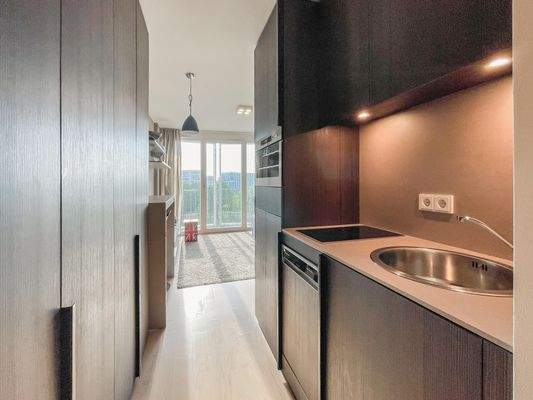 Küchenzeile und Einbauten