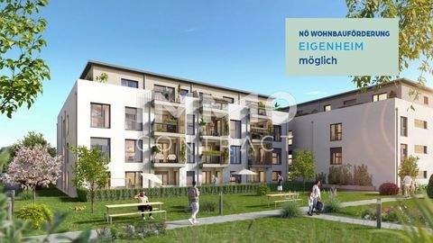 Ober-Grafendorf Wohnungen, Ober-Grafendorf Wohnung kaufen