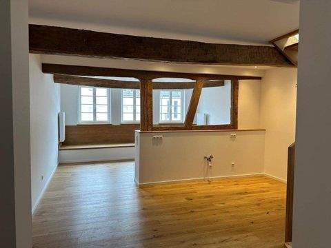 Rheinbach Wohnungen, Rheinbach Wohnung mieten