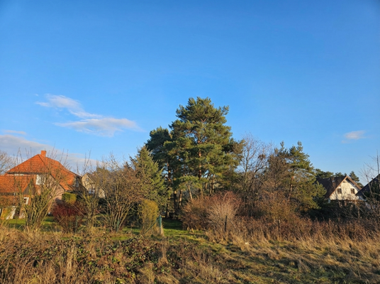 rückwärtige, uneinsehbare Ansicht