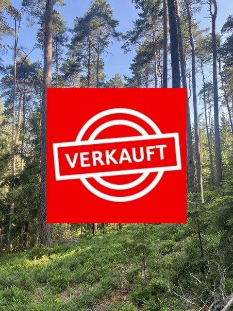 Berg Bauernhöfe, Landwirtschaft, Berg Forstwirtschaft