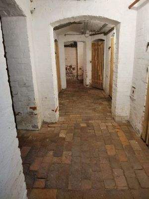 Keller - für Leipziger Verhältnisse sehr "TROCKEN"