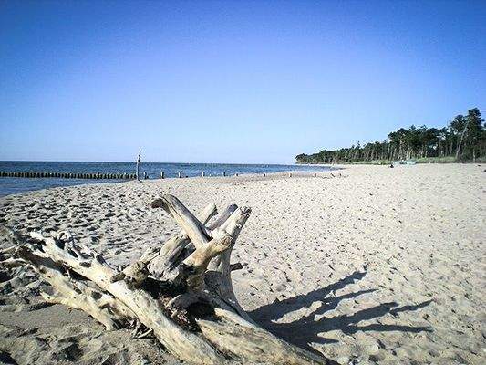 Truemper-Immobilien-PolnischeOstsee-Darlowo-Ferienanlage00028