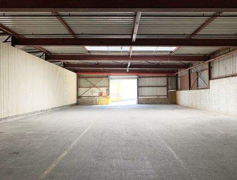 Markgröningen Halle, Markgröningen Hallenfläche