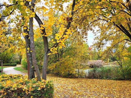 das nahe „Brucker-Seela“ – ideal für Spaziergänge und Joggingrunden 