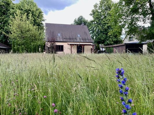 Großes Grundstück mit Gestaltungspotenzial