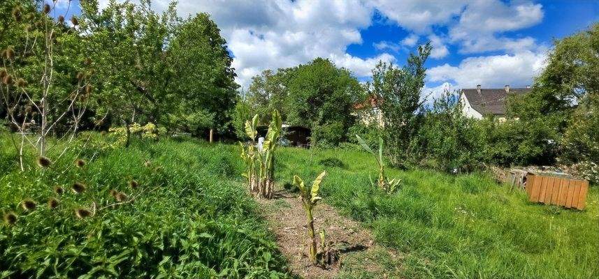 Einfach wunderschön!