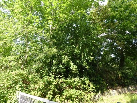 Potsdam Grundstücke, Potsdam Grundstück kaufen