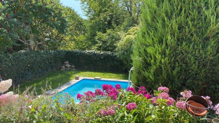 Garten /  Pool