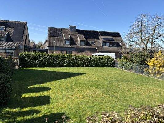 Blick in den sonnigen Garten