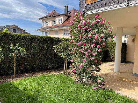 Sonnenterrasse mit kleinem Gartenanteil