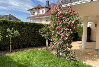 Sonnenterrasse mit kleinem Gartenanteil