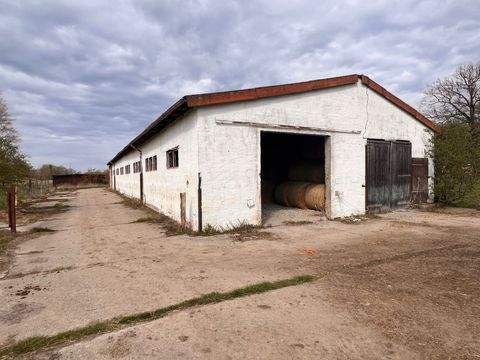 Brandis Garage, Brandis Stellplatz