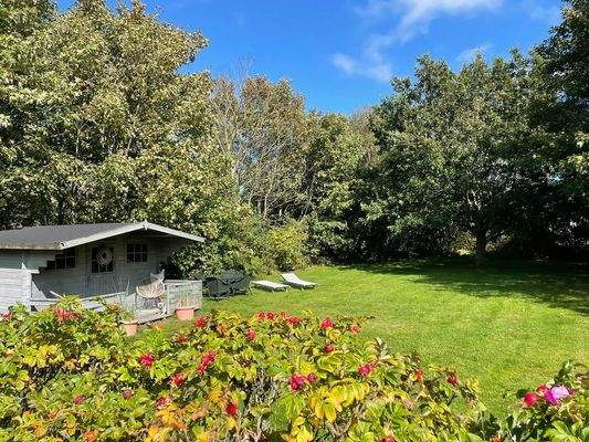 Wunderschöner Garten