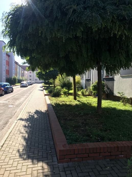 Schicke helle 3 Zimmer-Wohnung in Fermersleben mit Dusche, Balkon und Blick auf den ruhigen Innenhof!