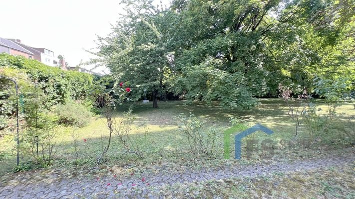 Garten (2)