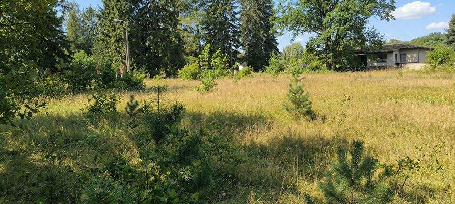 Blick auf das Grundstück