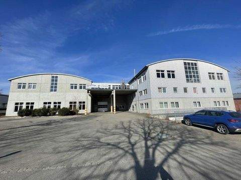 Siegenburg Halle, Siegenburg Hallenfläche