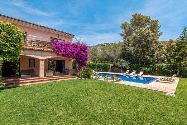 Sehr gepflegter Garten