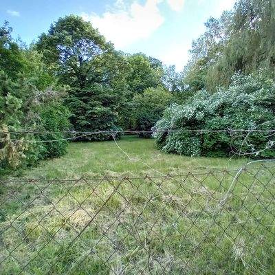 20250513_175458 (1).jpg