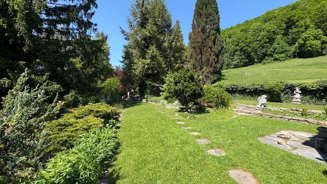 IMG_5782.jpg