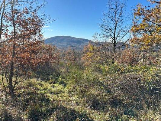 Toskana Waldgrundstück 5010 m2