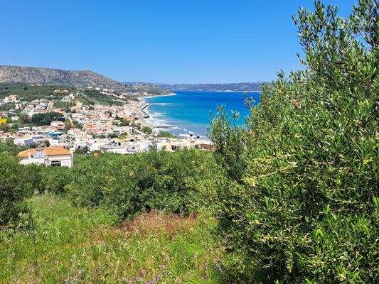 WhatsApp Image 2026-03-16 at 13.41.17 (2).jpeg