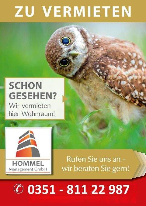 Großröhrsdorf Wohnungen, Großröhrsdorf Wohnung mieten