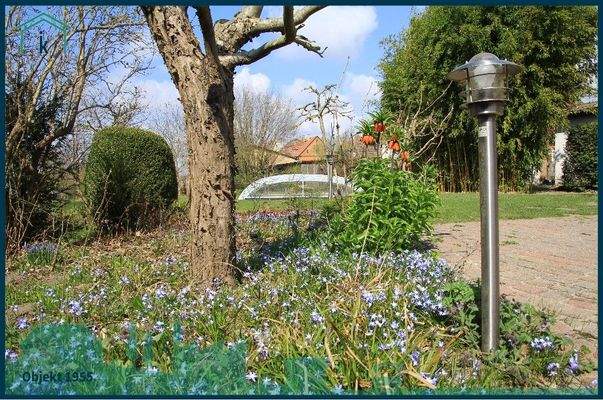 1955 Frühlingserwachen.jpg