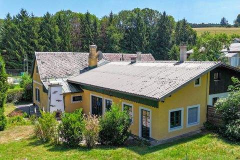 Wolfsgraben Häuser, Wolfsgraben Haus kaufen