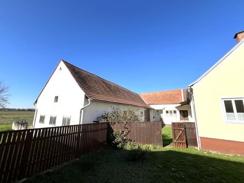 Heiligenkreuz im Lafnitztal Häuser, Heiligenkreuz im Lafnitztal Haus kaufen