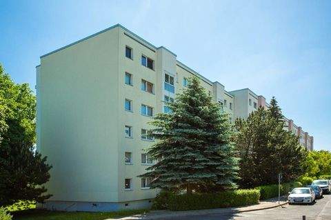 Dresden Wohnungen, Dresden Wohnung mieten