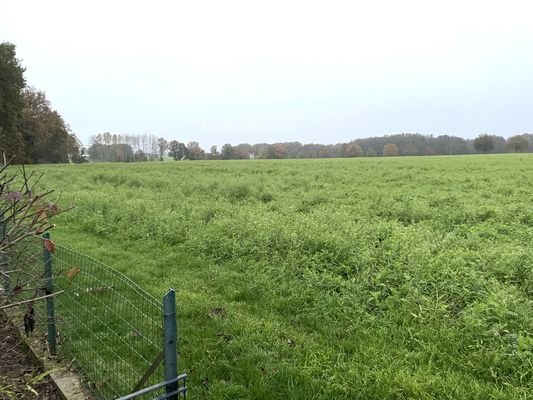 Ausblick.JPG