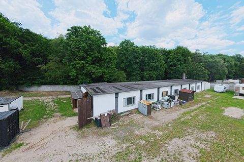 Nienburg (Weser) Holtorf / Langendamm Grundstücke, Nienburg (Weser) Holtorf / Langendamm Grundstück kaufen
