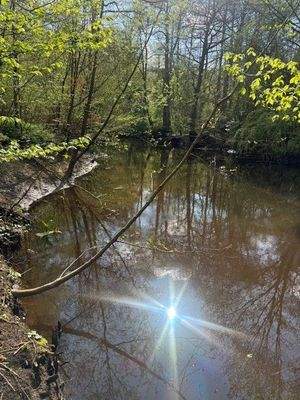 Alsterlauf am Grundstück