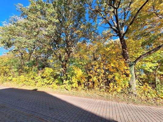 Blick auf das Grundstück