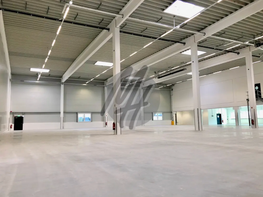 INFOS UNTER: 06171-586000