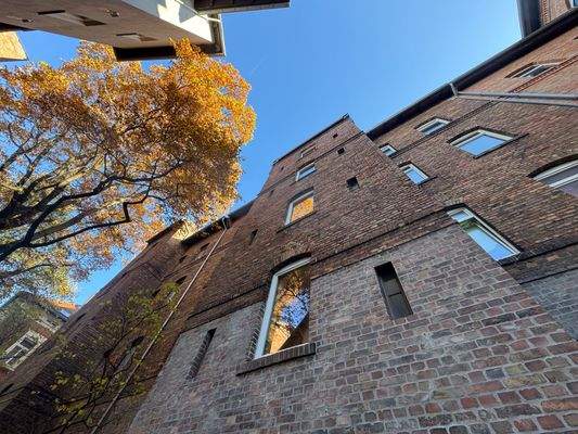 Hausansicht (Rückseite)