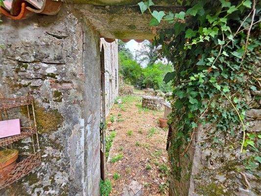 1000083930 - 1K JPEG.jpg